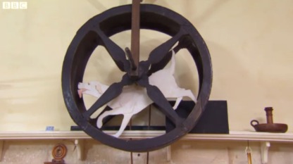 dog wheel 2